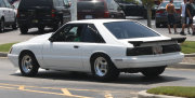 White Mustang